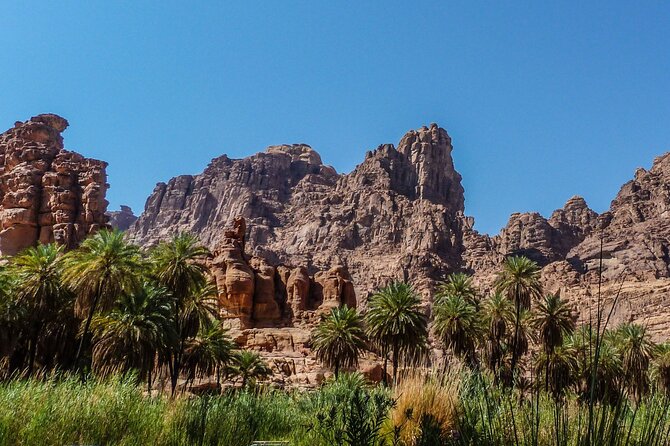 Wadi Al Disah Full Day Tour With Hotel Pickup - Hotel Pickup Details
