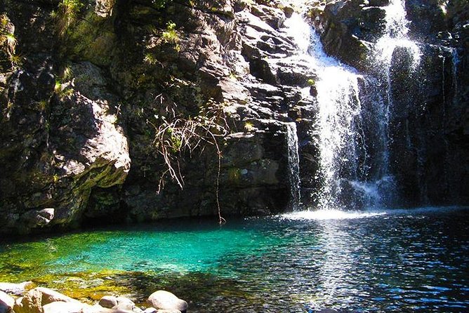 Walk - Madeira Lakes - Wildlife Encounters