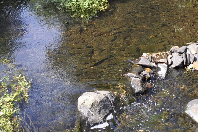 Walking Tour Through Sabugal: Stories and Charms of the Côa River - What to Expect