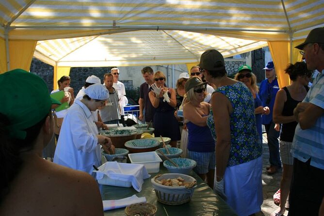 Walking Tour Wine Tasting and Typical Products in Sorrento Farm - Tasting Session Highlights