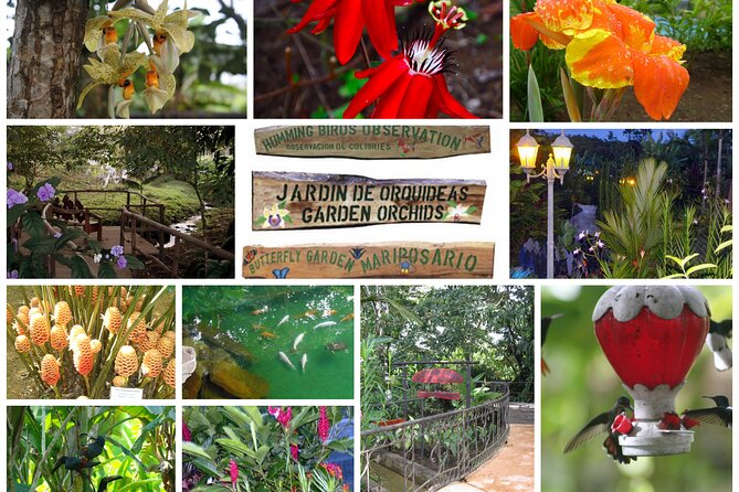Waterfall Hot Springs Tour Rincon De La Vieja From Playa Hermosa - Frequently Asked Questions