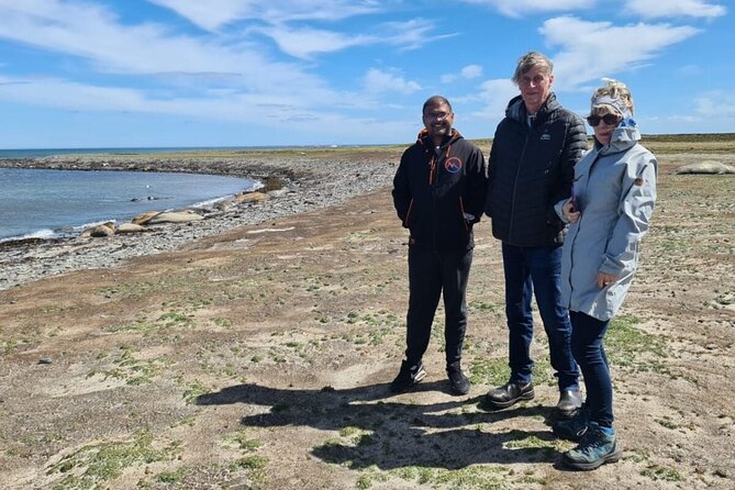 Whale Point to See Penguins and Elephant Seals - The Sum Up
