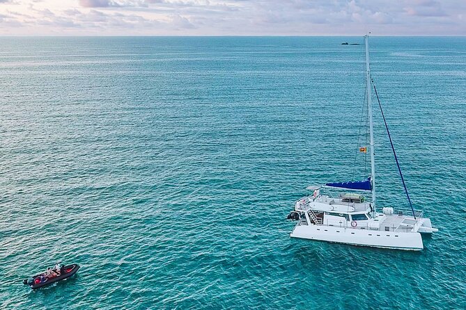 Whale Watching in Mirissa by Catamaran Cruise - Additional Information