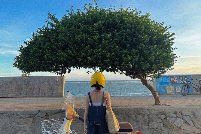 White Sand Dunes And Phu Quy Island Private Tour With Fisher Man - Customer Testimonials