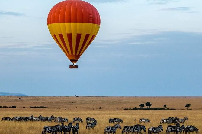 Wildebeest Migration at Masai Mara - Accommodation Options in Masai Mara