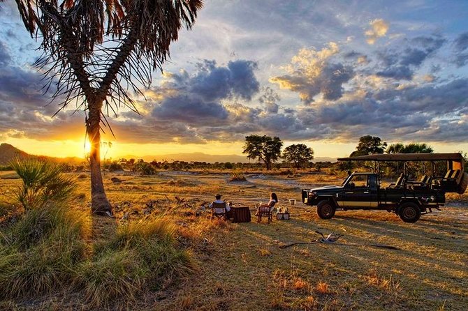 Wildlife Adventures of Central Kenya - Wildlife Highlights and Features