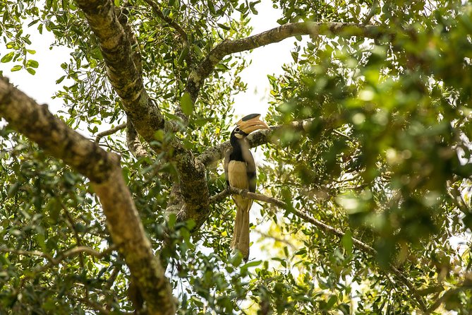 Wildlife of Sri Lanka (10 Days) - Wildlife Encounters