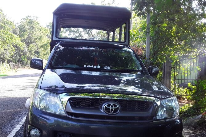 Wilpattu National Park Excursion - Price and Lowest Price Guarantee
