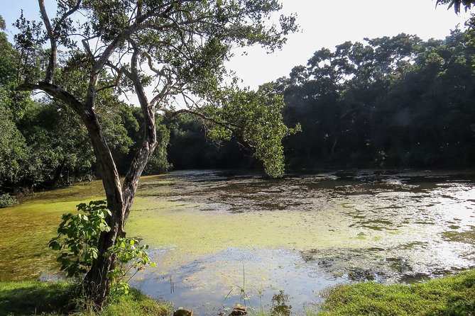 Wilpattu National Park Private Safari - Cancellation Policy Overview