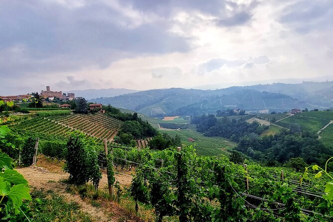 Wine Journey in Piedmont - Tour Highlights