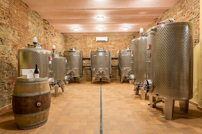 Wine Tasting: a SYRAH That Makes You Fall in Love - What to Expect at the Tasting