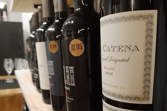 Wine Tasting of Argentinas Most Classic and Popular Wines - The Sum Up