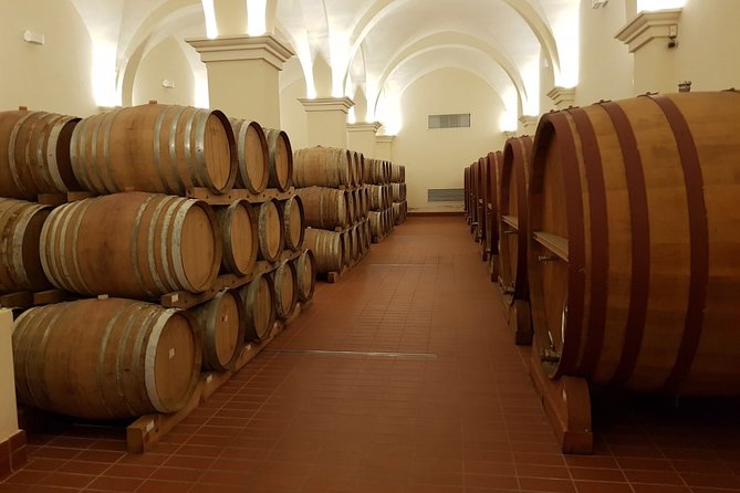 Wine Tasting of the Mazara Del Vallo Nature Reserve - Start Time: Opening Hours