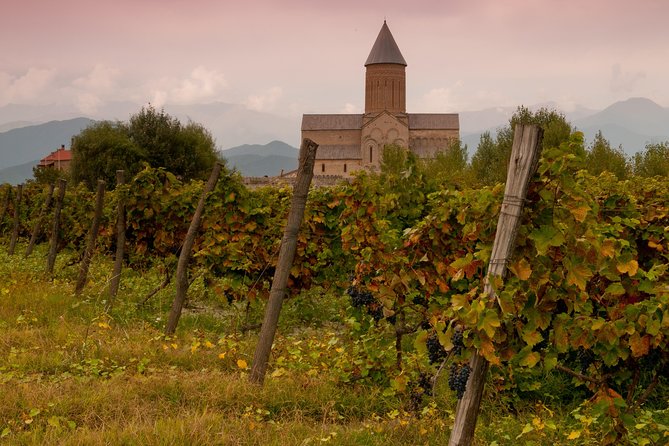 Wine Tasting Tour to Wine Making Region - Reservation Details