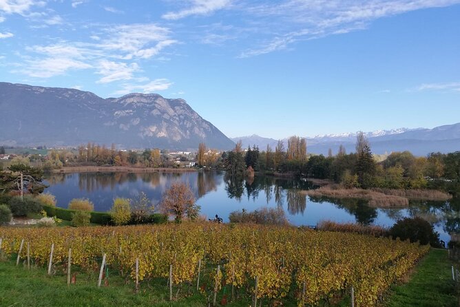 Wine Tour With Private Driver From Chamonix - Pickup and Departure