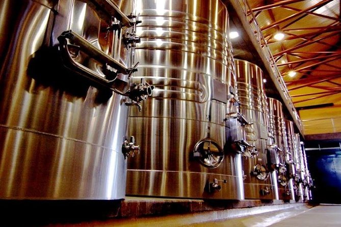 Winemaker for a Day. Learn How to Make Your Own Wine - Experience