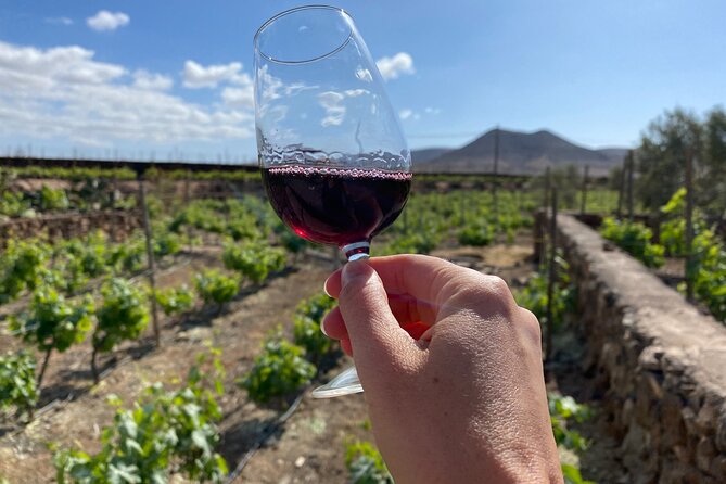 Winery and Chocolate Tasting Experience in Fuerteventura - Meeting Point Information