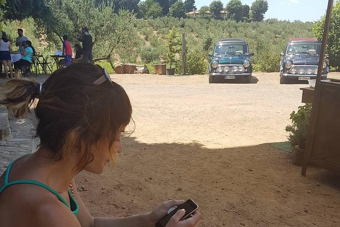 Winery Tour in Mini Cooper Classic Cabrio Wine Testing and Lunch - Essential Inclusions