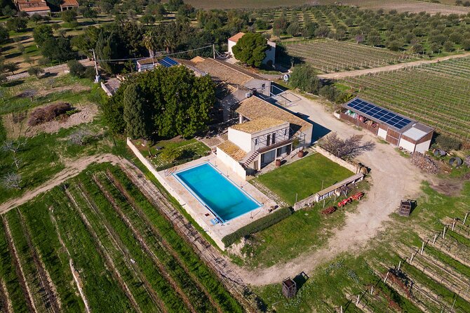 Winery Tour With Wine and Food Tasting in Noto - Accessibility Considerations