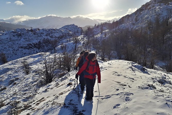 Winter Patagonia: Winter Trekking in Torres Del Paine National Park - Price and Booking Confirmation