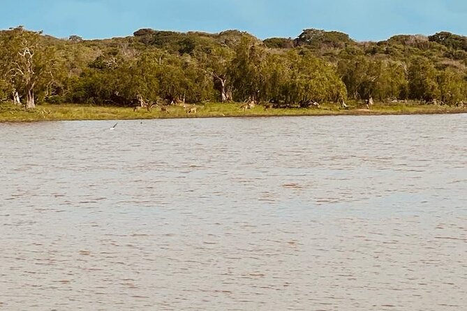 Yala Private Safari Jeep Half Day - Cancellation Policy