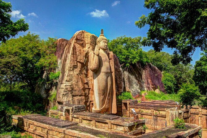 Yapahuwa Ancient Kingdom From Dambulla - Reservation and Cancellation Policy