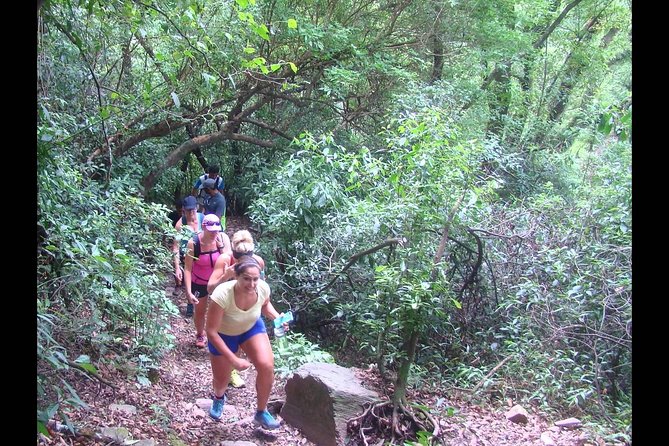 Yungas and El Rey National Park 4x4 Full Day Tour From Salta - Wildlife and Vegetation Spotting