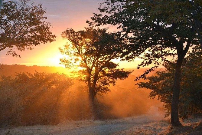 Zambezi Sundowner Cruise, Victoria Falls Zimbabwe - Additional Information