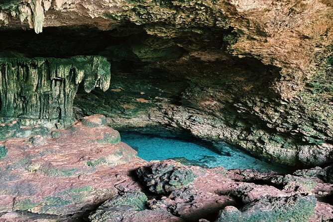 Zanzibar: Kuza Cave & Seaweed Farm - Cancellation and Reservation