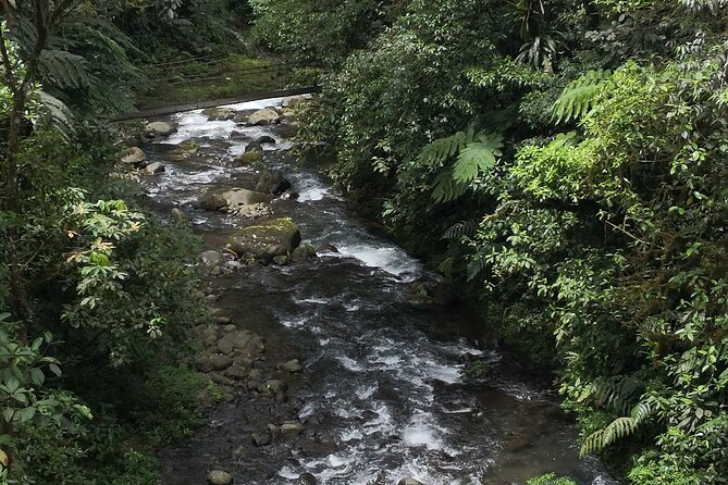 Zip Line Canopy Half Day Adventure Tour Near San Jose Costa Rica in San Ramon - Pickup Details