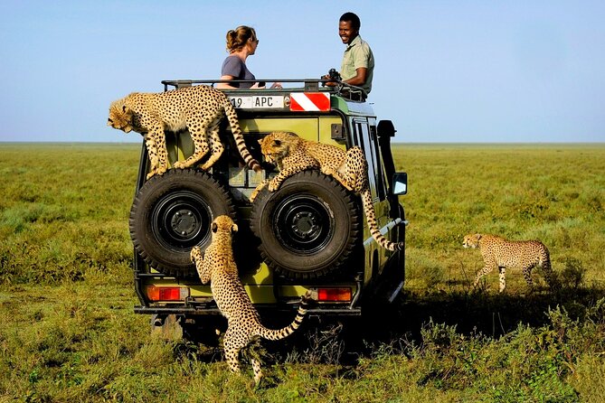 3Day Amboseli National Park Budget Safari on 4x4 Landcruiser Jeep - Good To Know