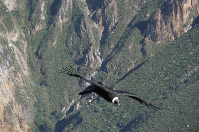 3days: Colca Canyon Trek 3d/2n - Good To Know