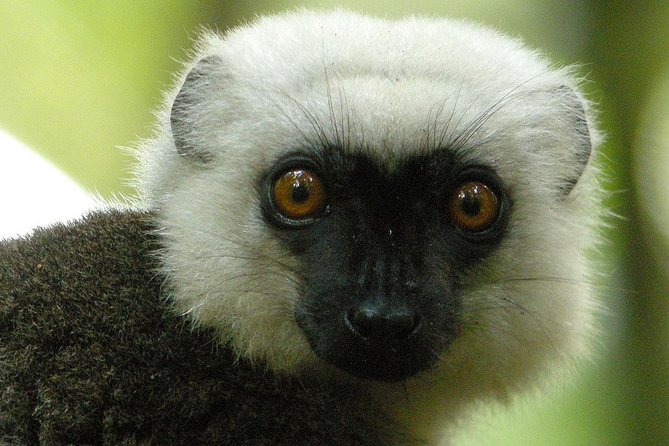4 Day Adventure in Masoala National Park From Antananarivo - Good To Know