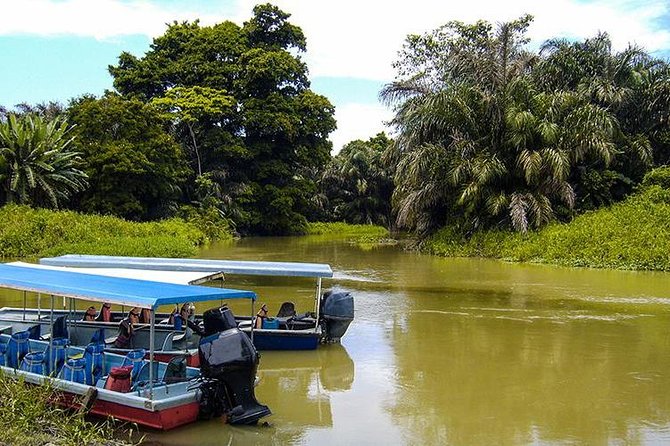 4-Day Adventure in Tortuguero National Park - Good To Know