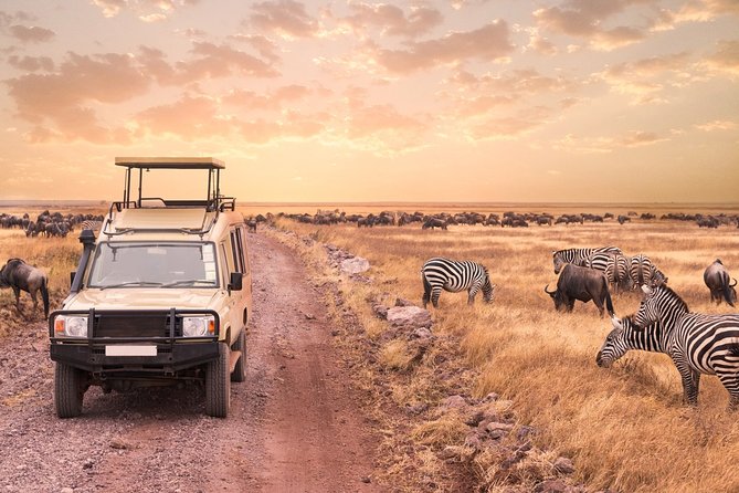 4-Day Discover Maasai Mara and Lake Nakuru Safari on 4x4 Jeep - Good To Know
