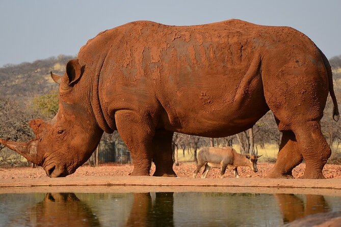 4 Day Etosha and Swakopmund Lodging - Good To Know