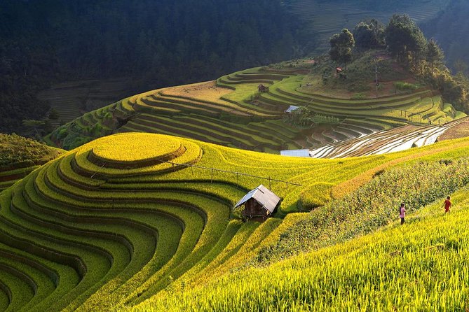 4-day Ha Giang: Trekking Hoang Su Phi Terraced Fields & Homestay - Good To Know