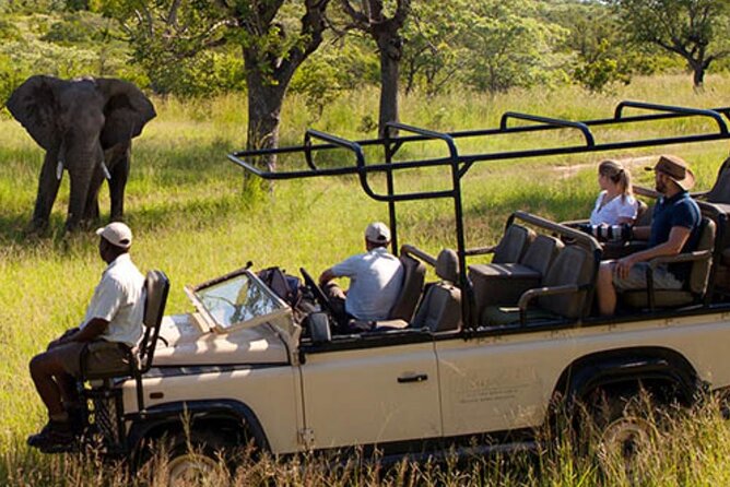 4 Day Kruger National Park Safari From Johannesburg & Pretoria - Good To Know