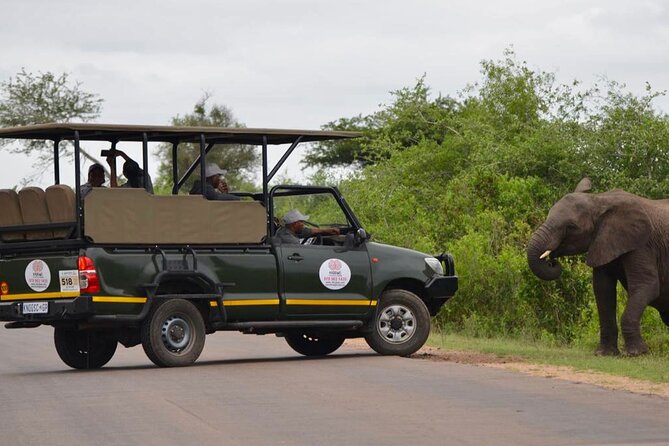 4 Day Kruger South to Central From Nelspruit - Good To Know