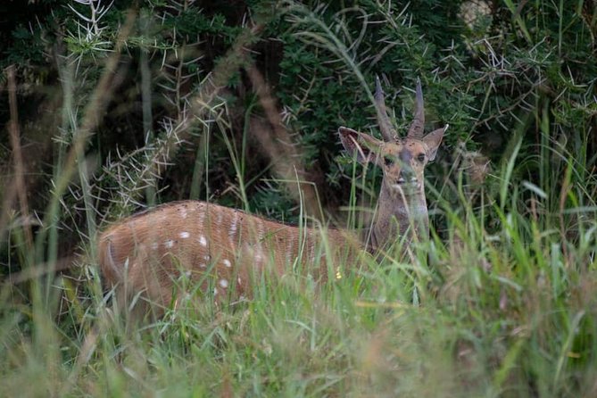 4-Day Private Tour of Kidepo Valley Park and Cultural Experience - Good To Know