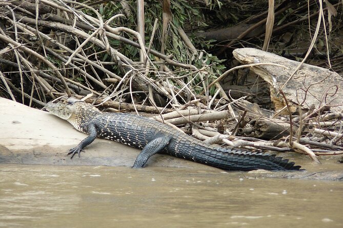 4 Days and 3 Nights Tour in Manu National Park - Good To Know