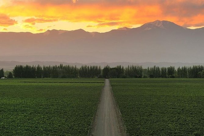 4-Days Experiencing Mendoza - Secrets of Wine & Nature! - Good To Know