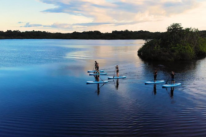 4 Days Paddle Boarding in the Cuyabeno Reserve - Good To Know