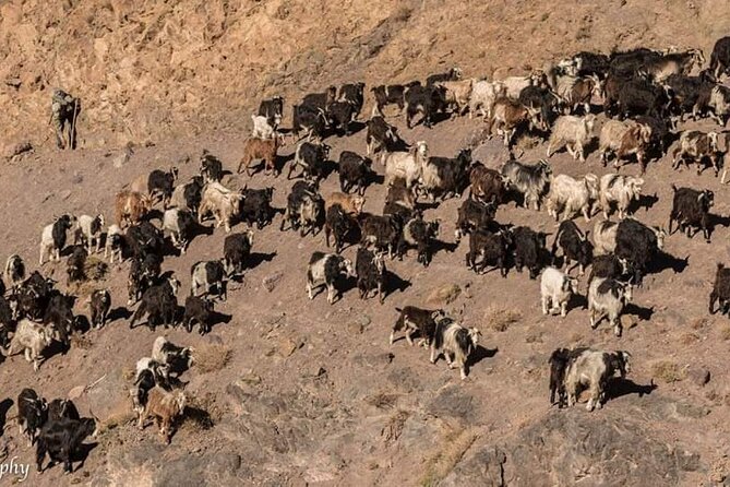 4 Days Private Berber Villages Trek From Marrakech - Tour Details