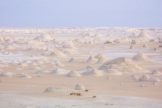 4 Days Private White Desert and Bahariya Oasis Tour - Good To Know