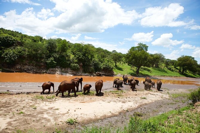 4 Days Safari With Waterfalls and Hot Spring - Good To Know