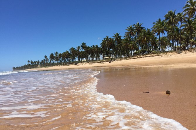 4 Days Salvador and Beach Tour Vacation With Hotel - Good To Know