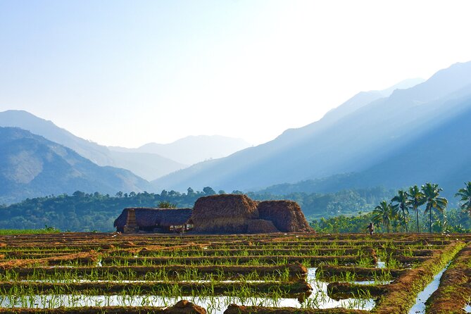 4 Days Village Exploration in Kerala ! - Good To Know