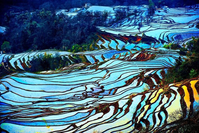 4 Days Yunnan Yuanyang Rice Terraces Photography Tour From Kunming - Good To Know