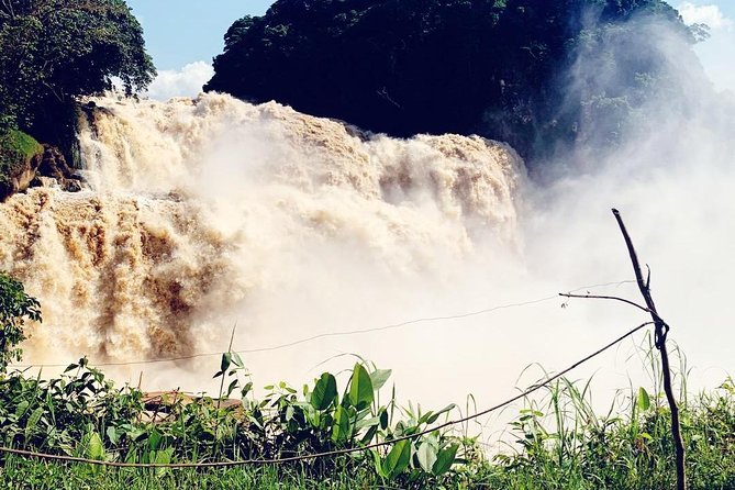 4 Days Zongo Falls, Bonobos and Kinshasa City Experience - Good To Know